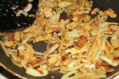 TerraVeggia Vegan Blog