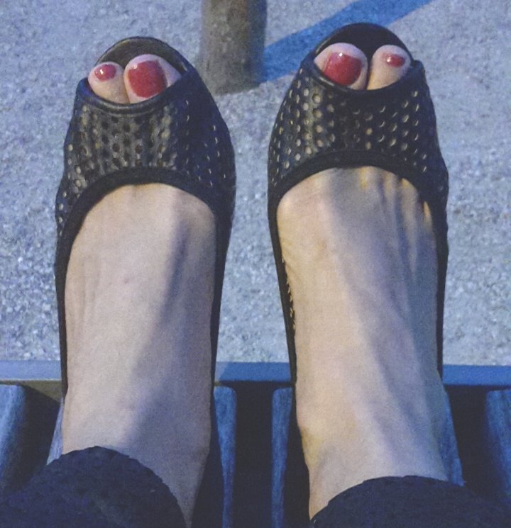 TerraVeggia Vegan Blog