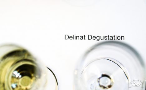 delinat-degustation-vegane-weine