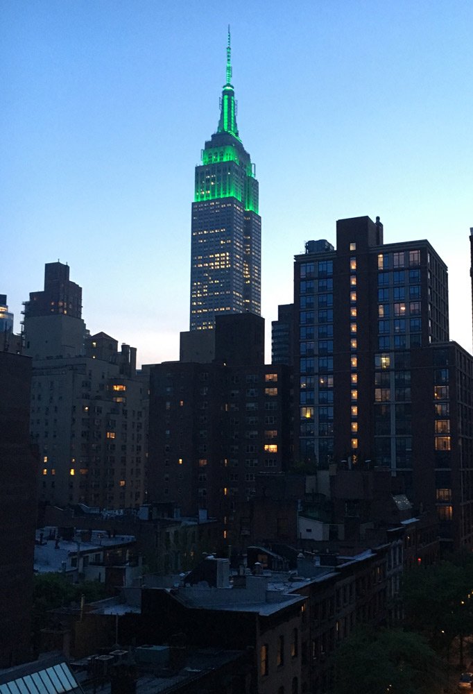 TerraVeggia Vegan Blog