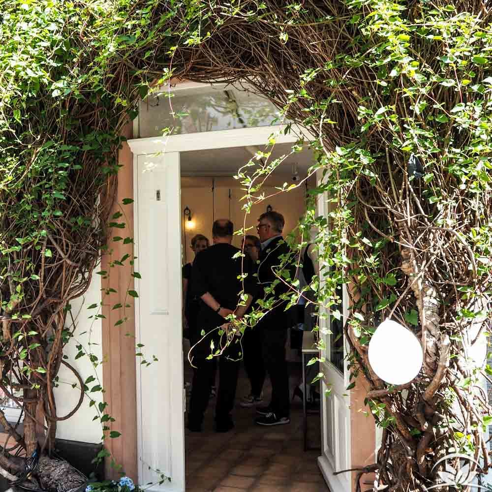 TerraVeggia Vegan Blog