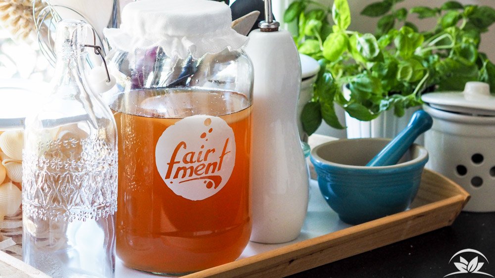 Kombucha selbst brauen