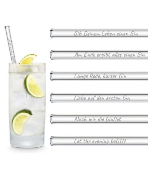 Halm Glasstrohhalme Gin Sprüche Edition 6 x 20 cm