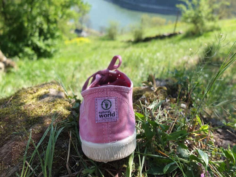 TerraVeggia Vegan Blog