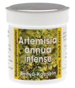 Novoform S.L. Artemisia Annua Beifuß Kapseln 90 St