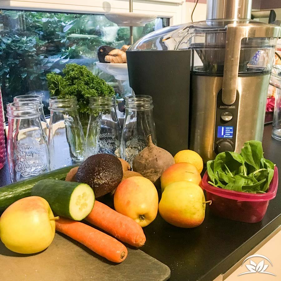 TerraVeggia Vegan Blog