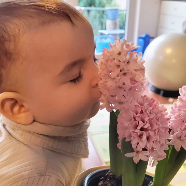 Frühling schnuffeln 🩷 Ich liebe Hyazinthen, ihr auch?
#momlife #hyazinthe #schwangerüber45 #babymit48 #babylove❤️