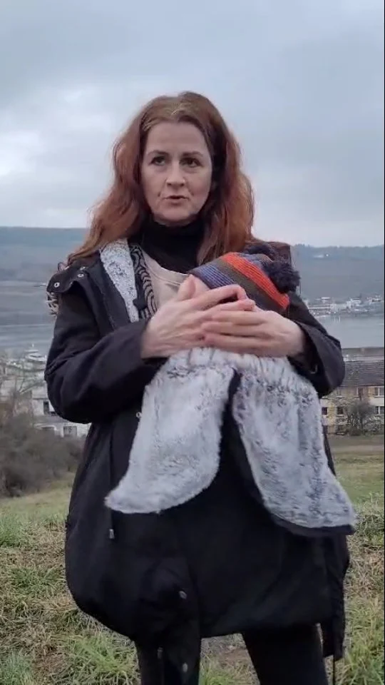 Nervthema Tragejacken: Geht es nur mir so, oder habt ihr auch Probleme, den Reißverschluss mit Baby zu zumachen? Sowohl bei Seraphine (im Video) wie auch bei Liliputi (die dazu trotz Größe größer viel zu eng ist), funktioniert der Reißverschluss nicht gut. Für den Preis @liliputilove @seraphinematernity sollte das doch wirklich besser gehen! Ich habe bei Vinted eine gebrauchte von Bonprix für 30 Euro gekauft, die funktioniert besser. Weiß jemand, wie die Reißverschlüsse bei @mamalila_official sind oder hat sonst einen Tipp? Die Jacke sollte die Möglichkeit zum Rückentragen haben.
#momlife #schwangerüber45 #babymit48 #tragejacke #tragemantel #babytrage #mamaleben